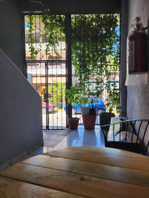 Small Studio Apt 5Min To Dt! Zihuatanejo Buitenkant foto