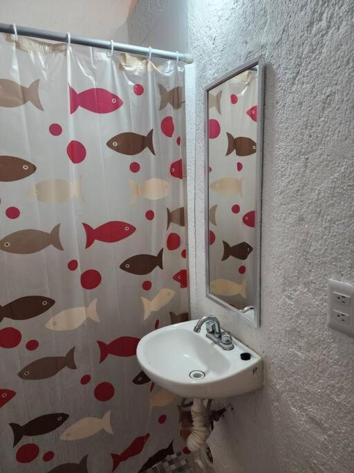 Small Studio Apt 5Min To Dt! Zihuatanejo Buitenkant foto