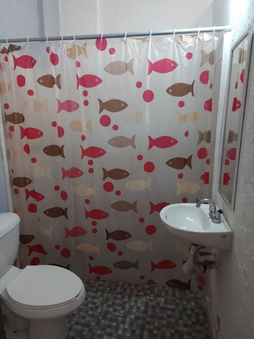 Small Studio Apt 5Min To Dt! Zihuatanejo Buitenkant foto